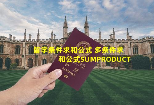 留学条件求和公式 多条件求和公式SUMPRODUCT